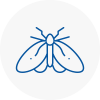 Moth Control Specialists In Bradley
